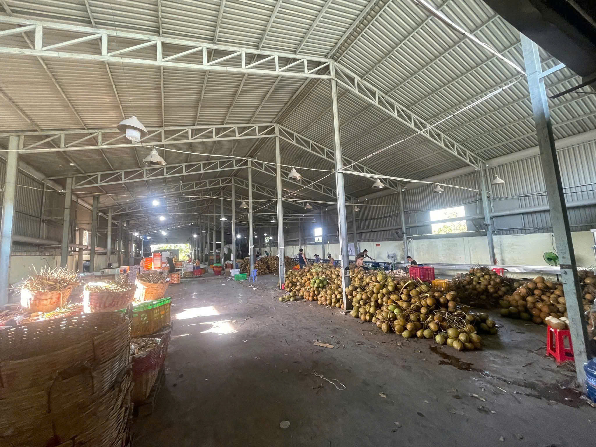 Collection & Sorting