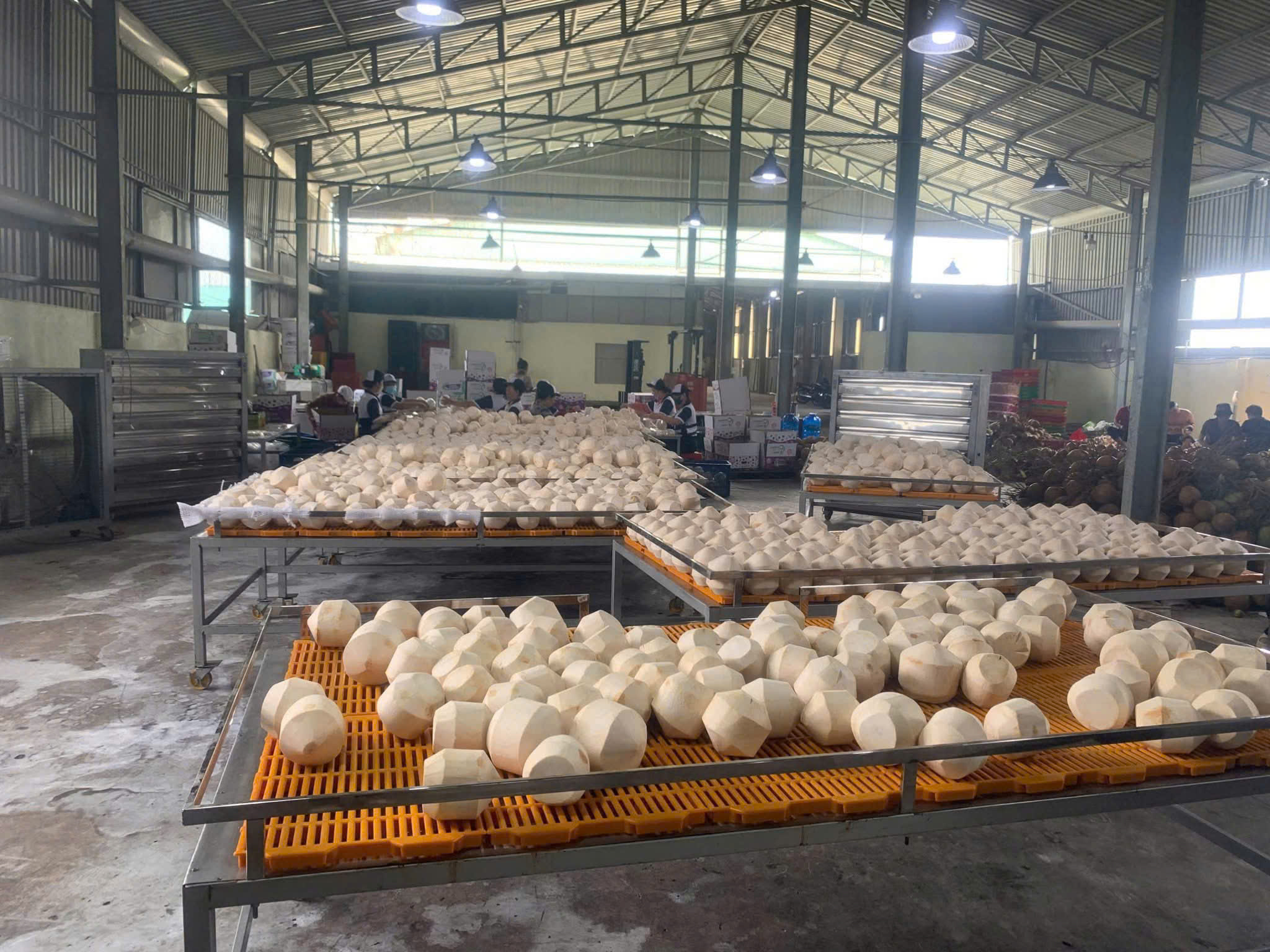 Processing & Preparation