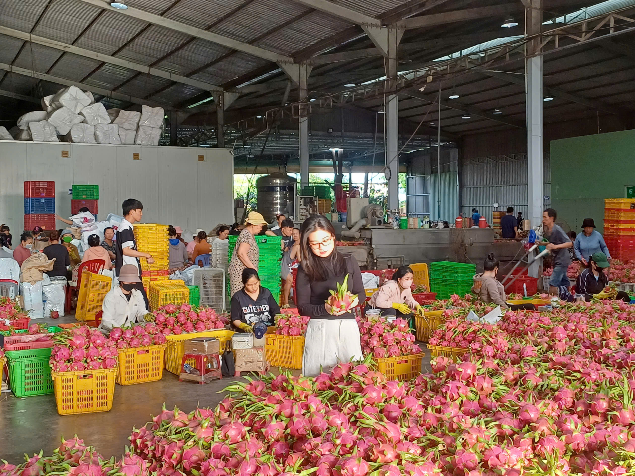 Sorting & Selection