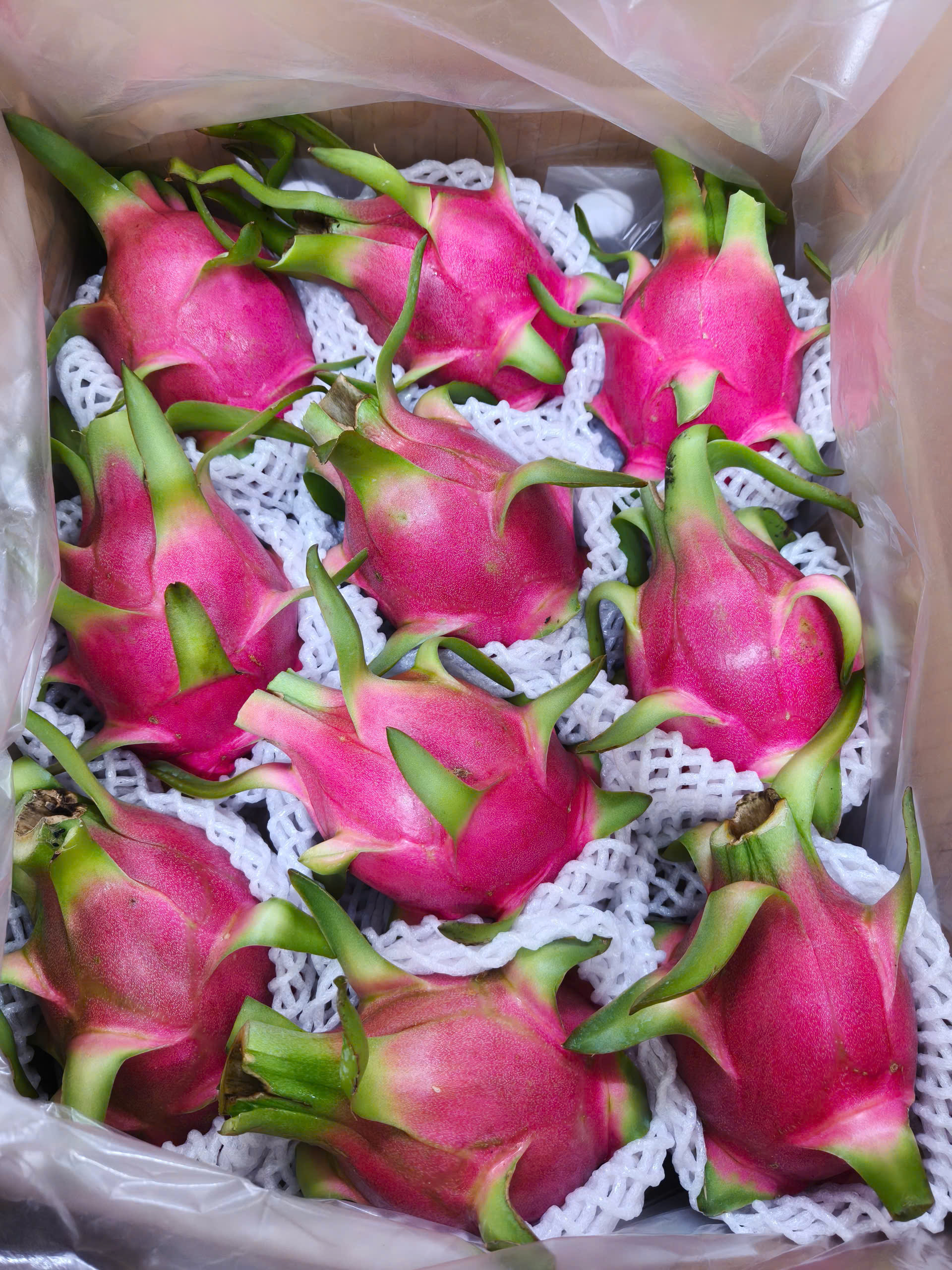 Packaging