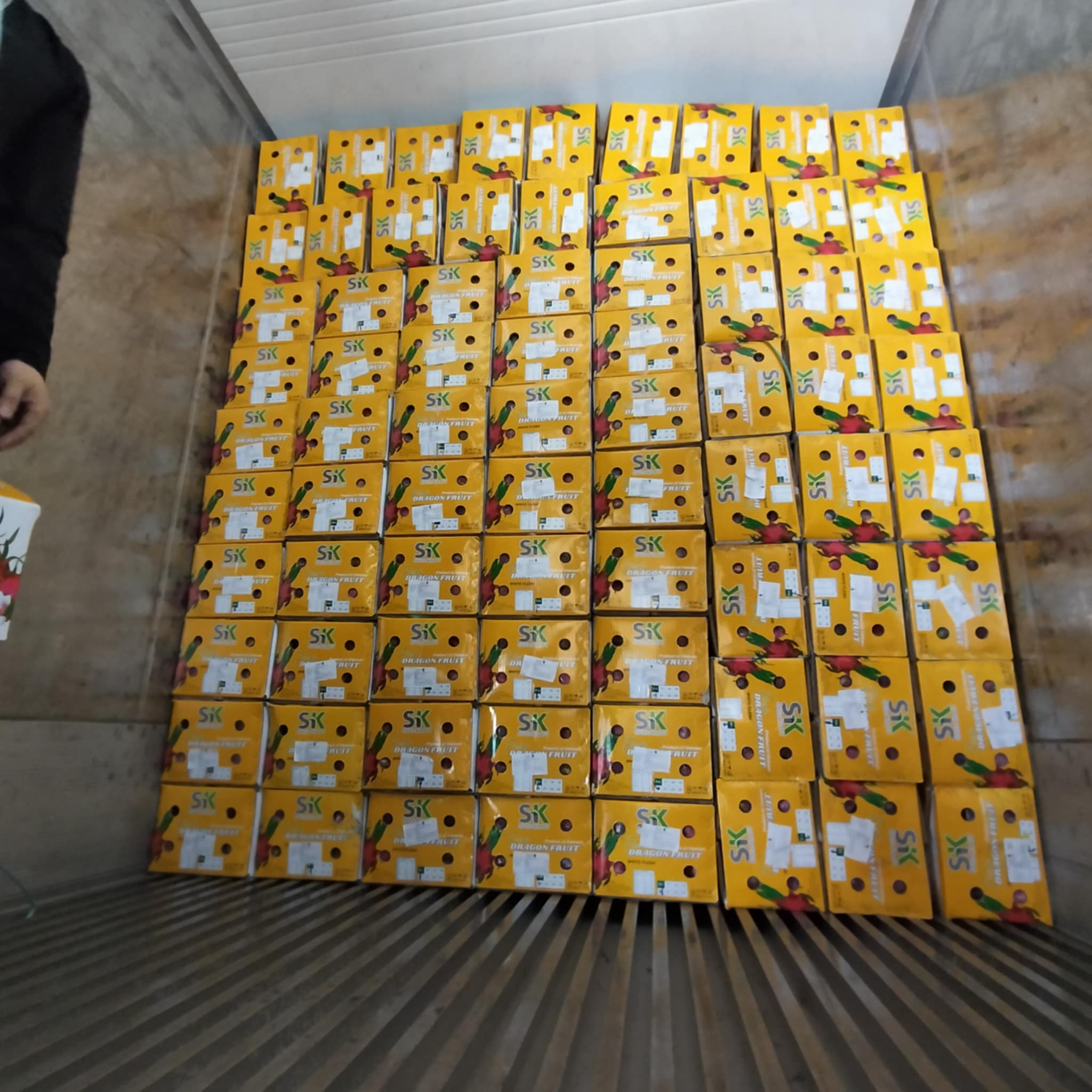 Shipment